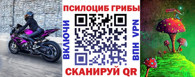 Купить закладки  Кондопога  Псилоцибиновые грибы мицелий 